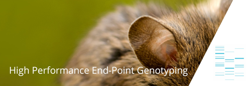 Mouse Genotyping