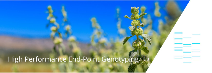 Plant Leaf Genotyping